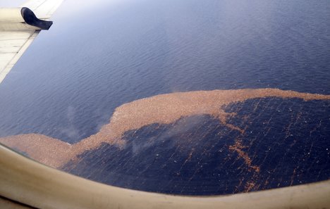 Debris float in the Pacific Ocean off the coast of Japan after a 9.0 magnitude earthquake and subsequent tsunami struck the nation on March 11.