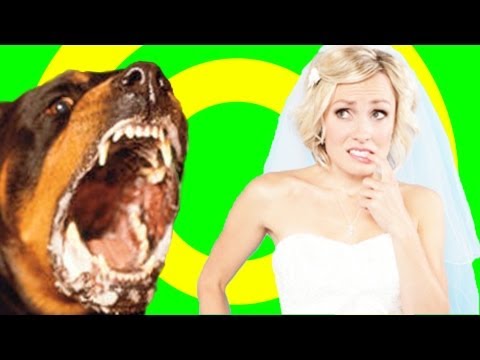 DOG ATTACKS BRIDE!