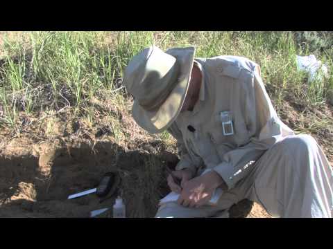 A Day in the Life of Paleontologist Thomas Carr