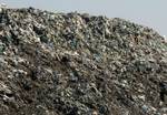 A Palestinian man collect recycling materials next to the animals of carrion from the Gaza Strip's main garbage dump Barrier of the 