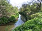 The river in Ickenham Pinn is a river in West London which originates around Pinner and flows into the Frays River, which is a branch of the River Colne.