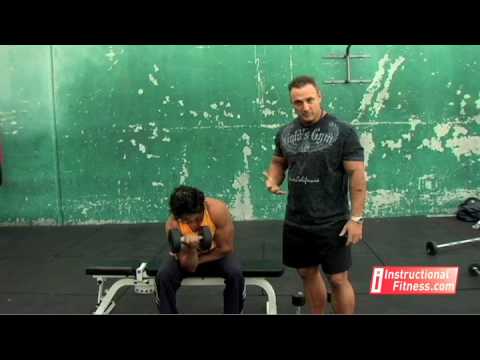 Instructional Fitness - Concentration Curls