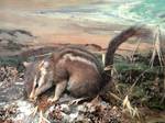 Chipmunk at Exhibit in the Pacific Grove Museum of Natural History, Pacific Grove, California, USA.