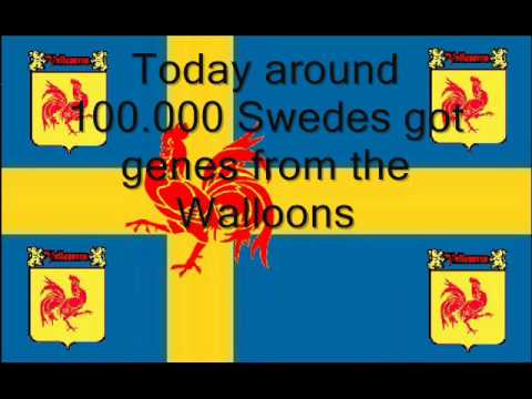 Swedish-Walloons