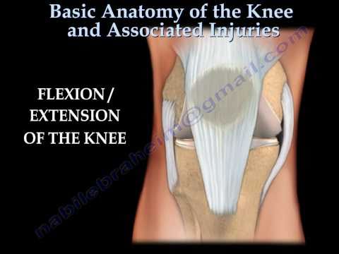 Knee injury ,Injuries - Everything You Need To Know - Dr. Nabil Ebraheim