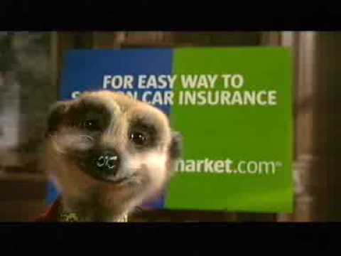 Official Compare the Meerkat Advert by Aleksandr Orlov