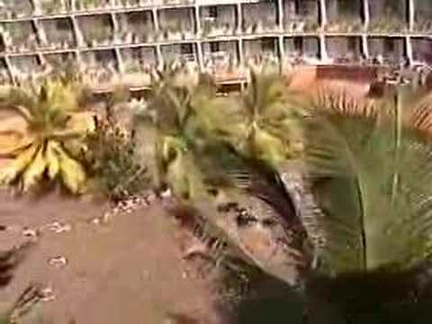 2004 Indian Ocean Earthquake & Tsunami 3