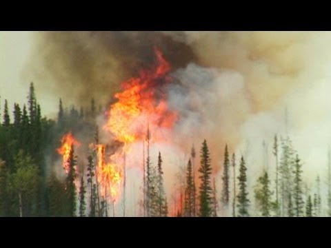 Firefighting From Above