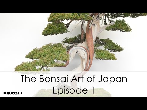 The Bonsai Art of Japan - Episode 1.mov