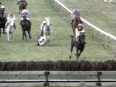 Horse Racing Accidents