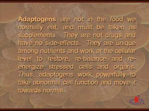 Ganoderma Lucidum - Power Food of the Ages PART 3