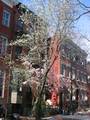 Greenwich Village