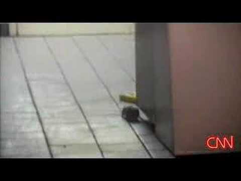 Rats at Taco Bell/KFC in NYC