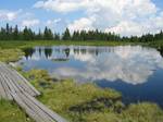 Ribnica Lake in the Pohorje hills. Styria is known for its white wine, especially the Ljutomer Riesling, after the ski resort Pohorje, after cultural festivals and after pumpkin seed oil.