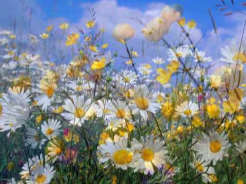 ♫ ♥♫ Spring Time ----Yiruma ♫ ♥♫