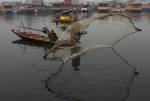 A Kashmiri fisherman throws his net into Dal lake during a cold day in Srinagar on December 19, 2011.