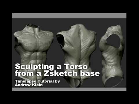 Sculpting a Torso in Zbrush 3.5 from a Zsketch Base (zsphere 2 and retopo)