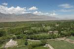 The view of fields of barley from the Spitok monastery during fall At this time the fertile Indus valley is lush and green