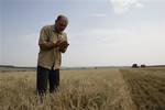 Product manager of Niva (Field) agriculture company Vladimir Kiselyov checks ears of barley in a field near the village of Uzunovo in Moscow region, 170 km (105 miles) south of Moscow, Wednesday, Aug. 11, 2010.