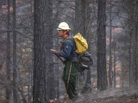 Bighorn type 2 fire fighters mop up hot spots on the south end of the  Waldo Canyon Fire, Colorado Springs June 29, 2012.