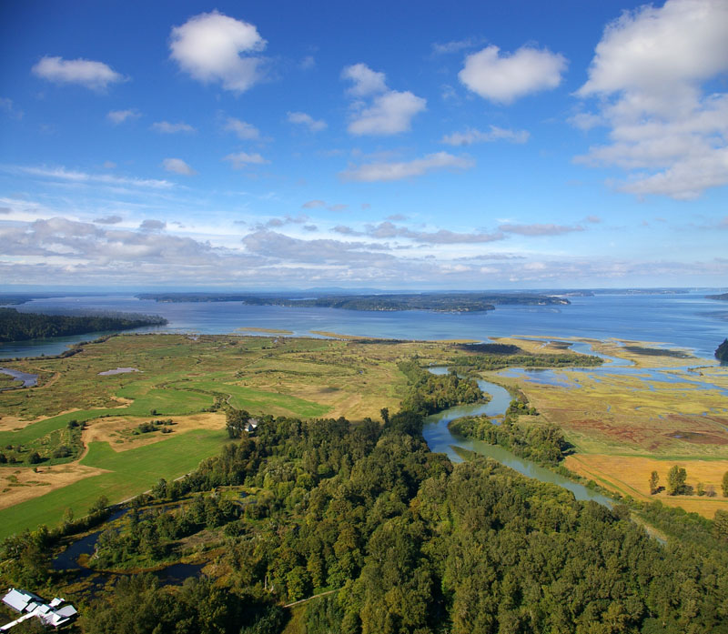 nisqually-delta