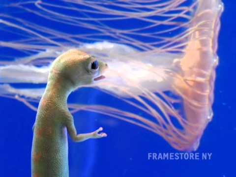 Geico Gecko - Jellyfish - Framestore, NY