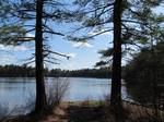 Assabet River National Wildlife Refuge, formerly referred to as the U.S. Army's Fort Devens-Sudbury Training Annex, is a 2,230-acre (9.0 km2) parcel of land located approximately 25 miles (40 km) west of Boston, and 4 miles (6.4 km) west of the Eastern Massachusetts National Wildlife Refuge Complex Headquarters.