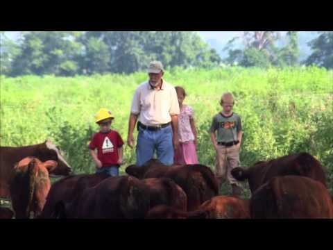 High-Tech Cattle: America's Heartland