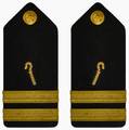 Shoulder boards with 