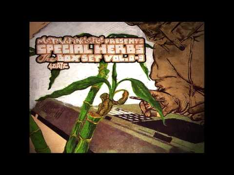 MF Doom - Safed Musli