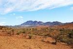 Arid land in the Flinders Ranges.The flora of the Flinders Ranges is largely made up of species adapted to a semi-arid environment such as sugar gum, cypress-pine, mallee, and black oak.