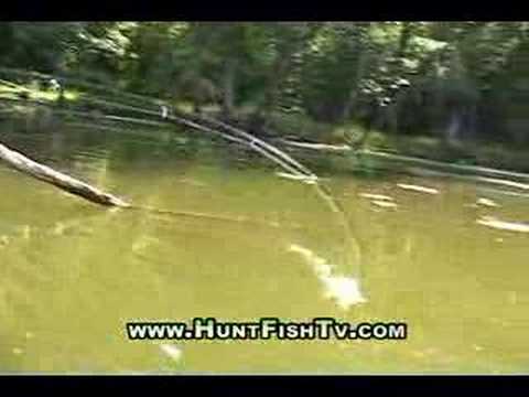 Fishing Mississippi River Backwater Bass Fishing