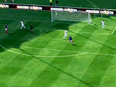 2010 FIFA World Cup South Africa - France Goal