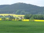 The Kniebrink seen from the south. The Kniebrink, at 315 m above sea level, is the third highest mountain in the northern German Wiehen Hills.