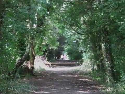 THE SOUTH STAFFORDSHIRE RAILWAY WALK