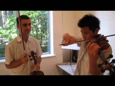 6.5.08. violin vs. viola: the basics