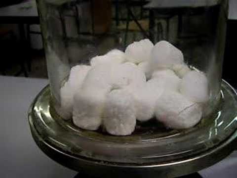 marshmallows in a vacuum