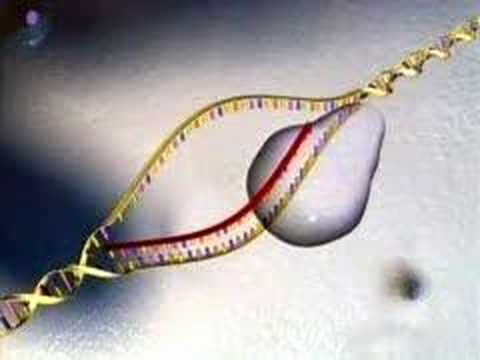 The Human Genome Project Video - 3D Animation Introduction