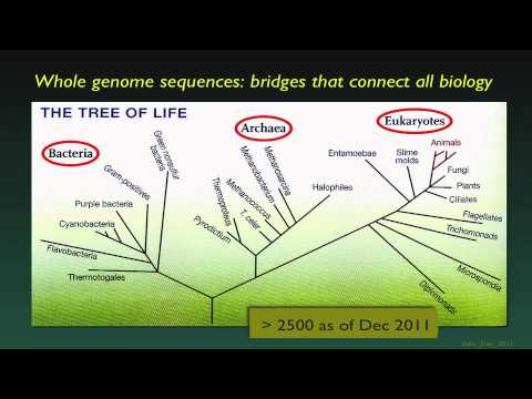 The Human Genome and Individualized Medicine - David Valle