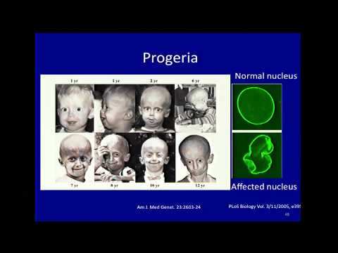 Regulatory and Epigenetic Landscapes of Mammalian Genomes - Laura Elnitski (2012)