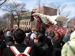 Image of the dragon from Cornell University's Dragon Day 2009.