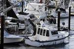 A boat ripped from its anchor by a tsunami surge crashes into boats on the harbor in Santa Cruz, Calif., Friday, March 11, 2011. A ferocious tsunami unleashed by Japan's biggest recorded earthquake slammed into its eastern coast Friday, killing hundreds of people as it carried away ships, cars and homes, and triggered widespread fires that burned out of control. Hours later, the waves washed ashore on Hawaii and the U.S. West coast, where evacuations were ordered from California to Washington bu