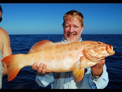 Great Barrier Reef fishing charter with Reefari!!