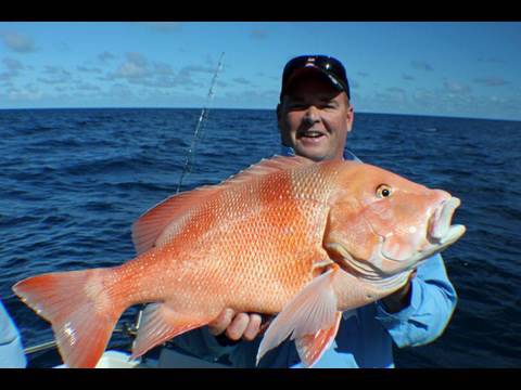 Mackay Fishing Charter!! Insane Three Day Trip!!