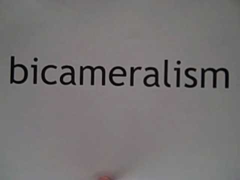 Bicameralism