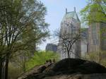 Springtime in Central Park, New York City, New York, USA.