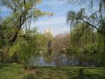 The Lake in Central Park, New York City, New York, USA.