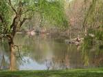 The Lake in Central Park, New York City, New York, USA.