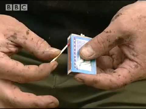 Building a Shelter - Ray Mears Extreme Survival - BBC