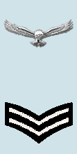 IAF Cpl Arm.png